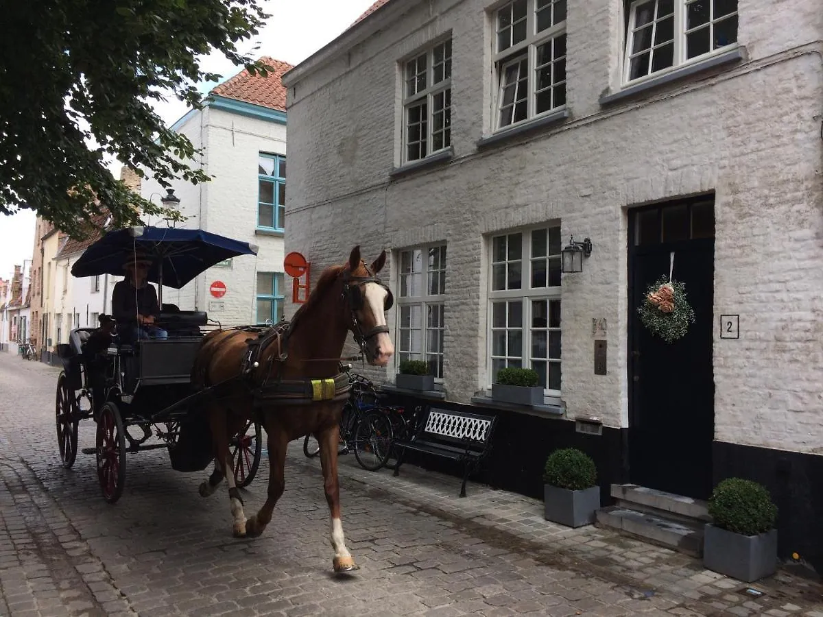 Guestsuite Lady Anna Brugge Gæstehus